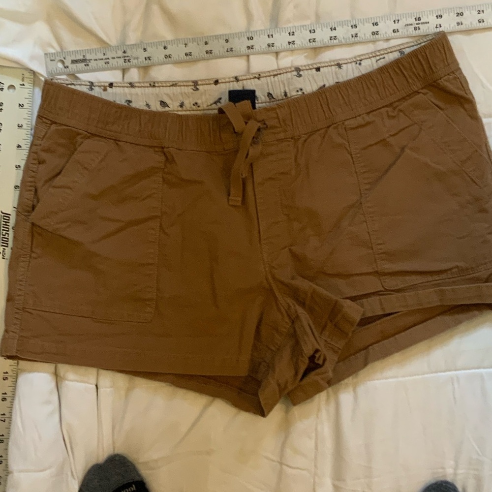 The North Face Brown Cargo Shorts